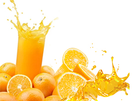 柑橘(臍橙)加工生產線